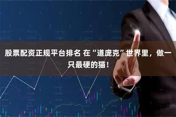 股票配资正规平台排名 在“道庞克”世界里，做一只最硬的猫！