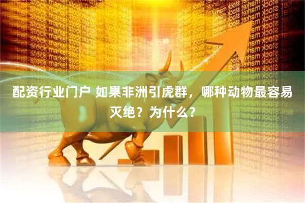 配资行业门户 如果非洲引虎群，哪种动物最容易灭绝？为什么？